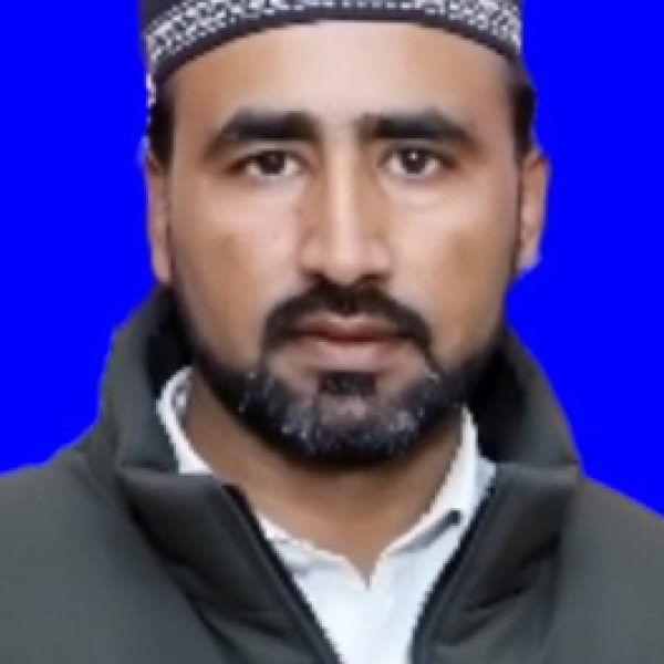 qamar qamar